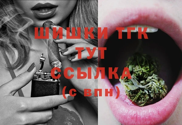 spice Медногорск