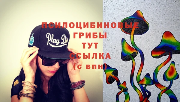 spice Медногорск