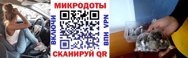 Галлюциногенные грибы Psilocybe  Купить закладки  Шумиха 